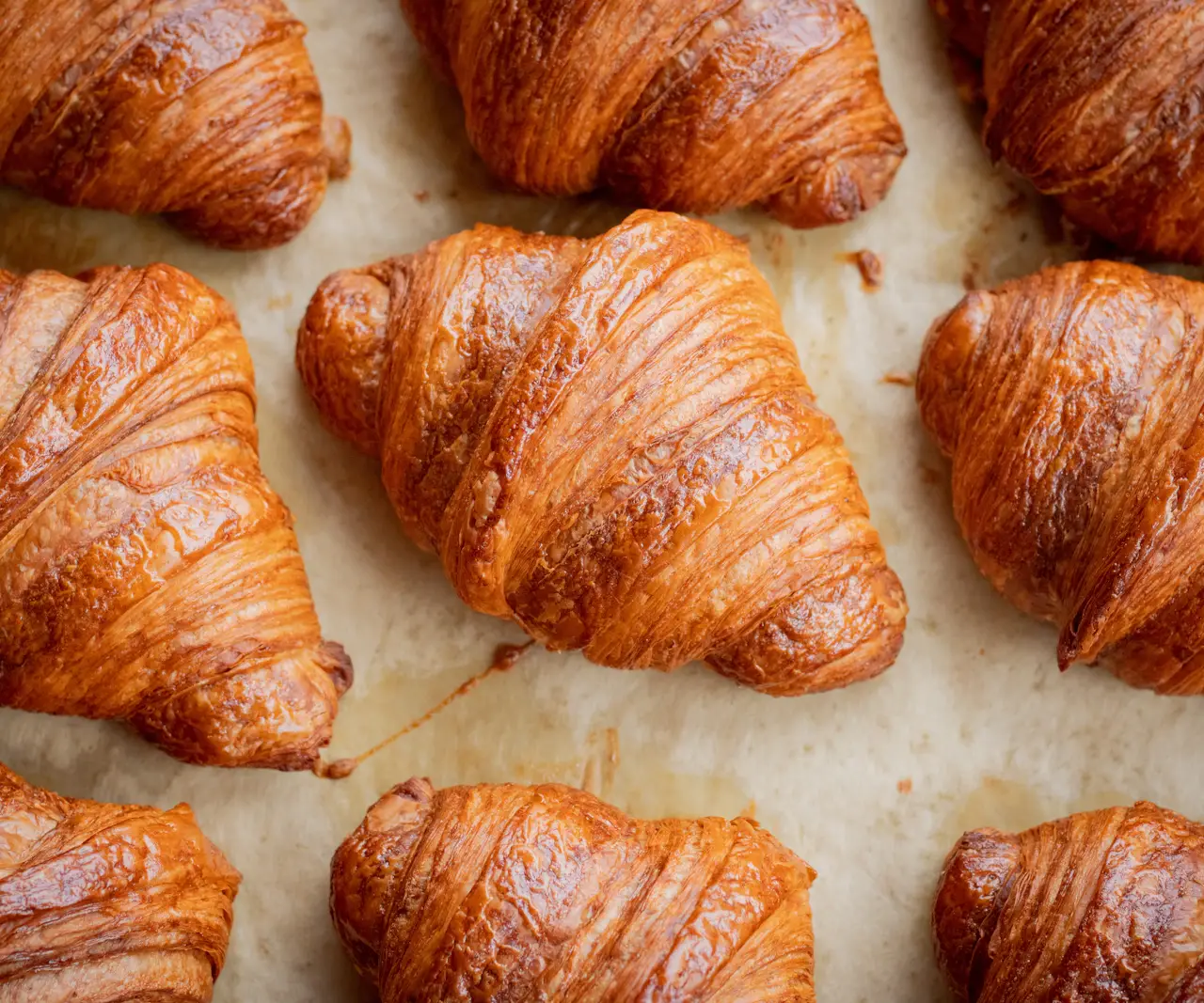 Plaque de croissants dorés tout juste sortis du four, alignés sur du papier cuisson