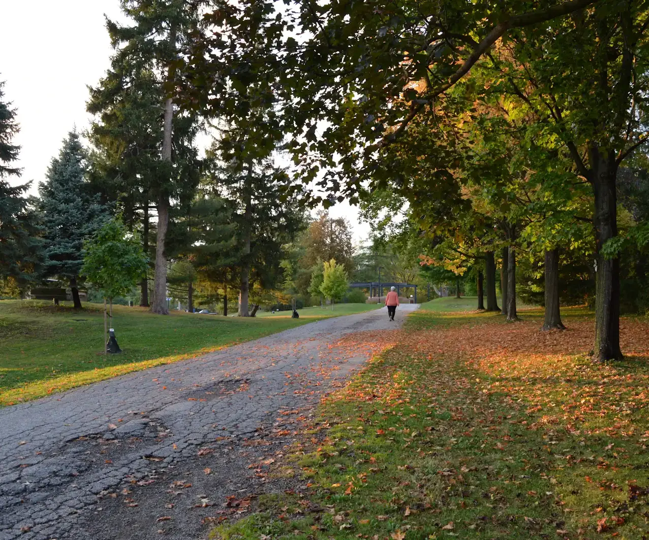 Chemin de parc bordé d'arbres aux couleurs d'automne et de feuilles mortes, avec une personne qui marche au loin