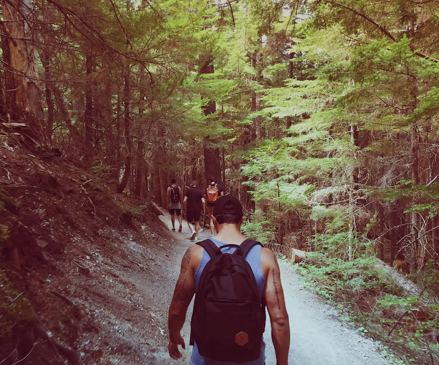 Homme vu de dos avec un sac à dos noir compact, marchant sur un sentier de forêt derrière un petit groupe de marcheurs