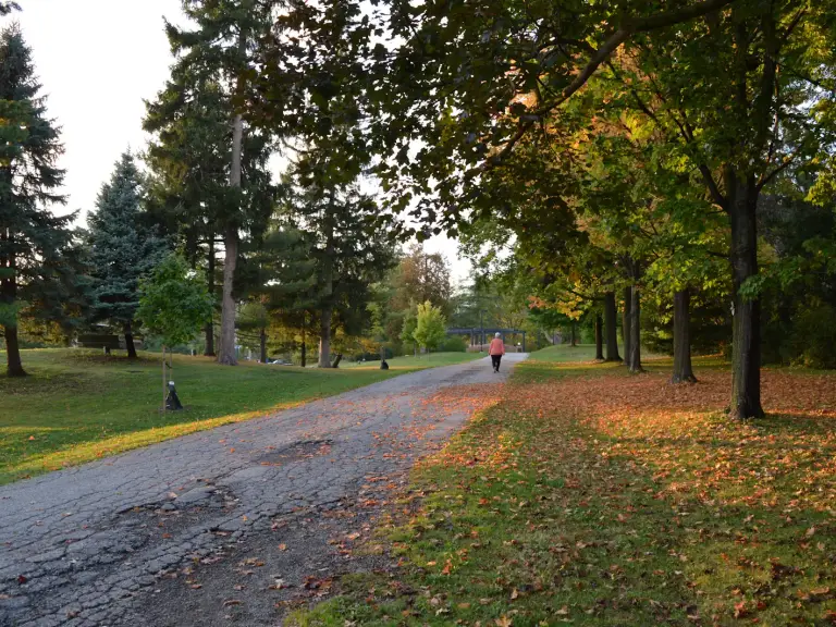 Chemin de parc bordé d'arbres aux couleurs d'automne et de feuilles mortes, avec une personne qui marche au loin