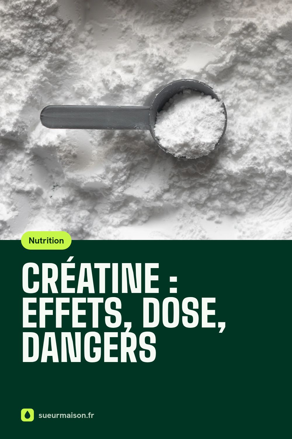 Épingle Pinterest : Créatine : effets, dose, dangers